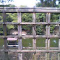 b0070083_19294254.jpg
