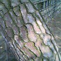 b0070083_19301923.jpg