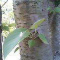 b0070083_1930317.jpg