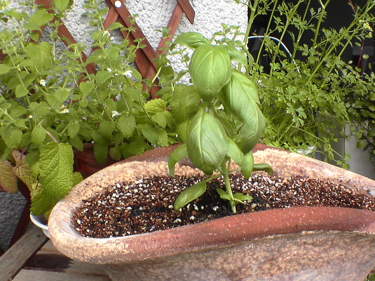 e0005887_026246.jpg