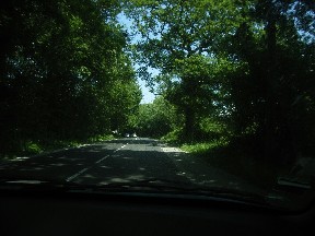 c0032799_1635574.jpg