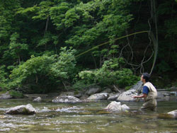d0051707_22544591.jpg