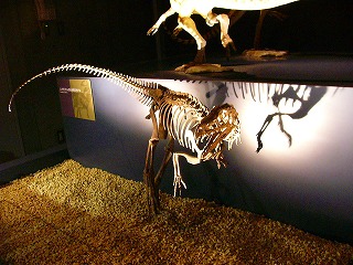 b0009029_2239820.jpg