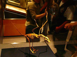 b0009029_22484510.jpg