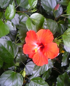 b0058840_2342642.jpg