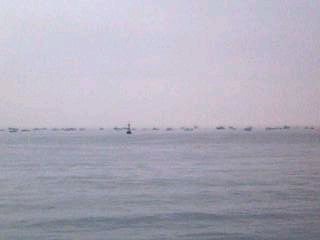 d0041154_18533784.jpg