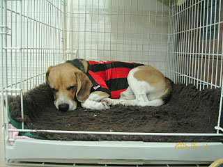 e0007060_9473630.jpg
