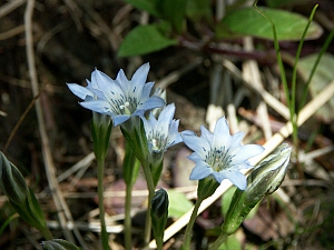 b0044663_1538456.jpg