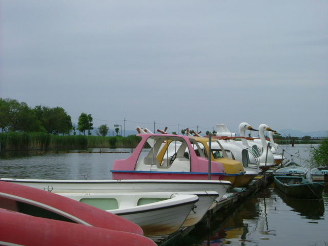b0055171_15183093.jpg