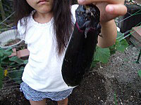 c0045882_13235087.jpg