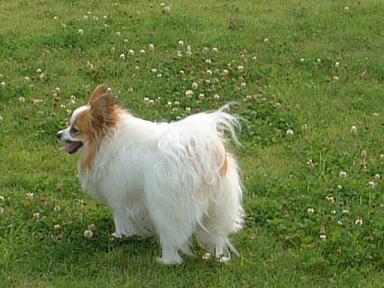 e0003382_2059263.jpg