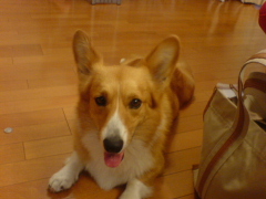 c0065643_15563198.jpg