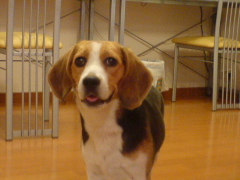 c0065643_1556573.jpg