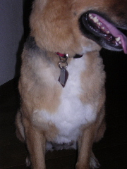 c0065643_20464369.jpg