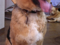 c0065643_20472497.jpg