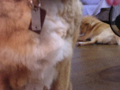 c0065643_20474672.jpg