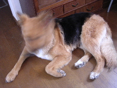 c0065643_213991.jpg
