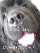 e0005603_18114789.jpg