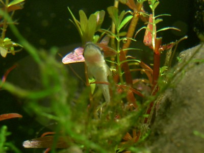 b0020307_23441624.jpg