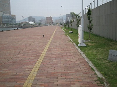 b0032513_13283086.jpg