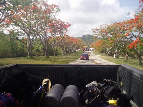 a0000014_112088.jpg