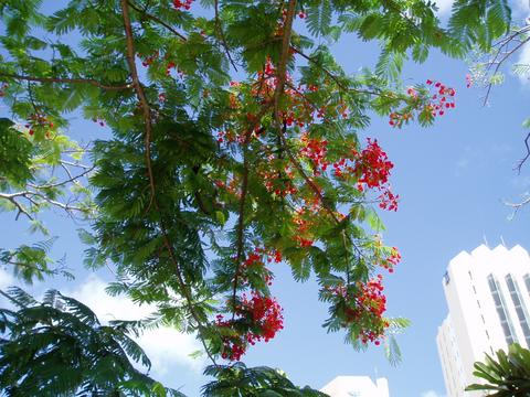 a0000014_114267.jpg
