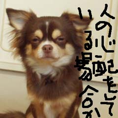 c0036617_11354638.jpg