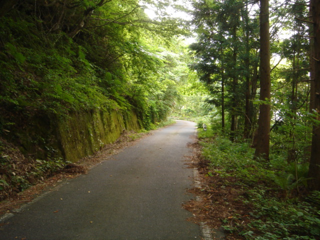 d0025421_16422395.jpg