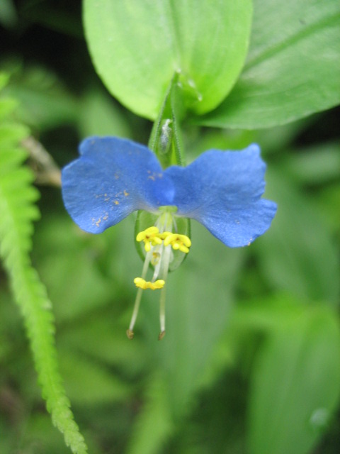 e0009147_180076.jpg