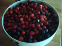 c0068149_22478.jpg
