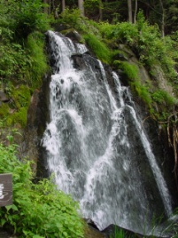 c0002089_0164583.jpg
