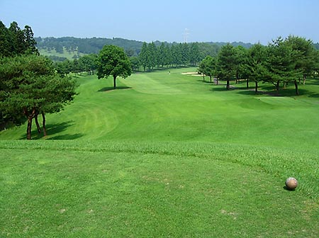 c0069690_0294562.jpg