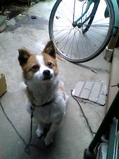e0010302_024087.jpg