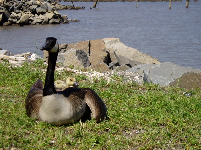 c0037103_11575451.jpg