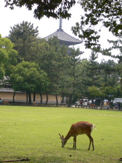 d0062009_7405323.jpg
