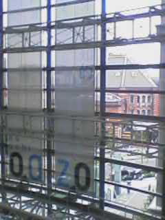 c0054112_1631219.jpg