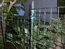 b0025633_2336692.jpg