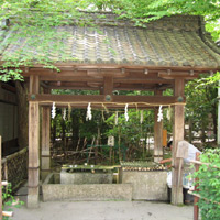 d0033734_17464856.jpg