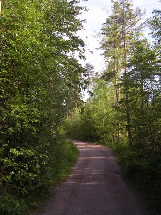 c0006748_4264899.jpg