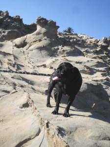 b0035453_1352396.gif