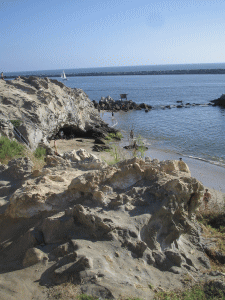 b0035453_13532288.gif