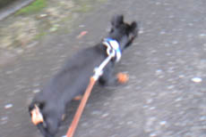 c0012571_125559.jpg
