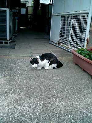 d0002472_22352931.jpg