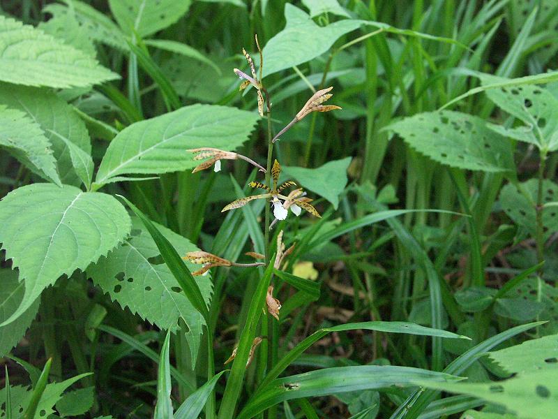 b0039226_883190.jpg
