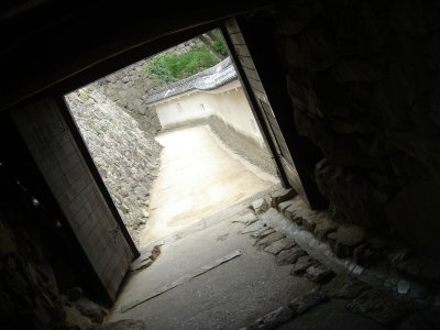 c0072847_8593170.jpg