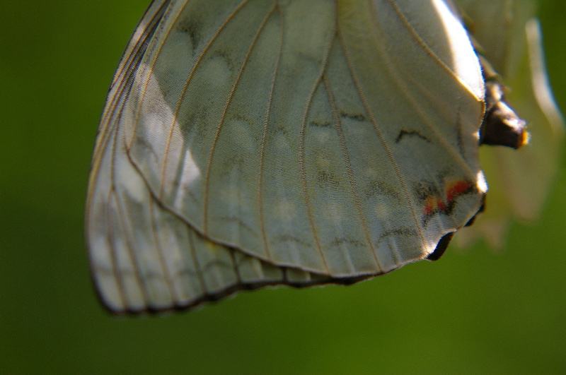 a0009554_21512168.jpg