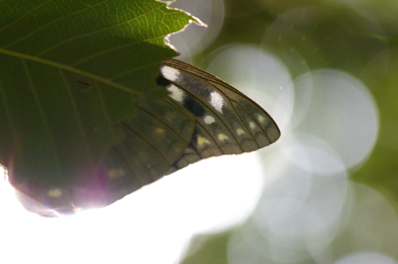 a0009554_21531755.jpg