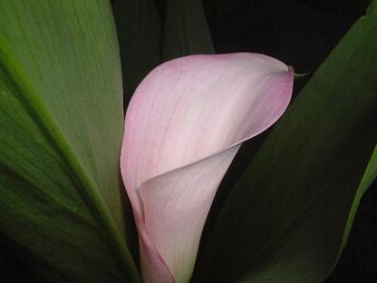 e0003382_21191037.jpg