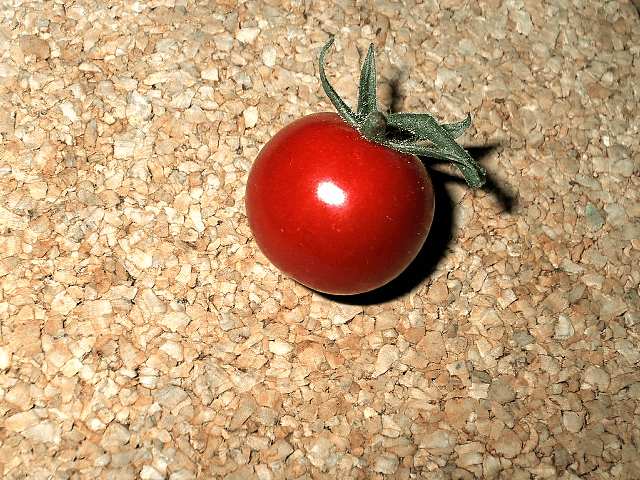 a0006605_1811108.gif