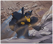 e0012806_23541490.gif